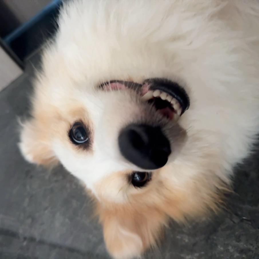 小刘刘