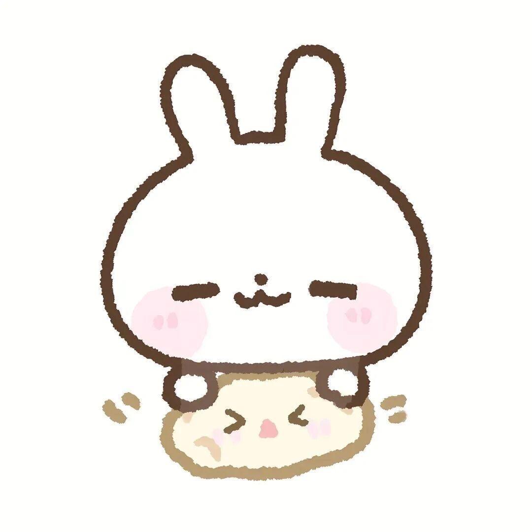 衿