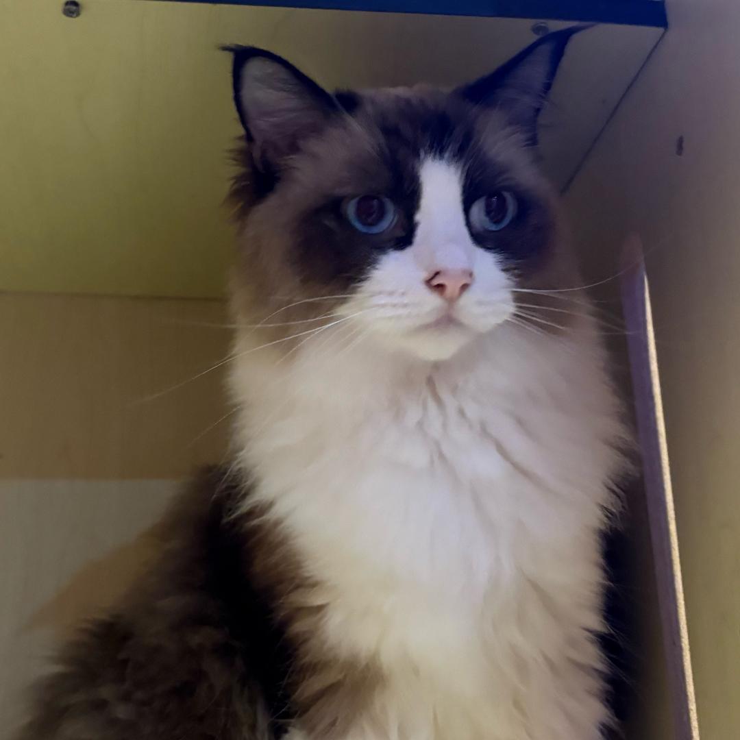 根本吃不饱睡不好