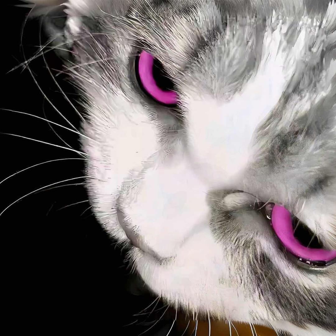 ￴￴￴ ￴￴   ￴ ￴ ￴￴￴