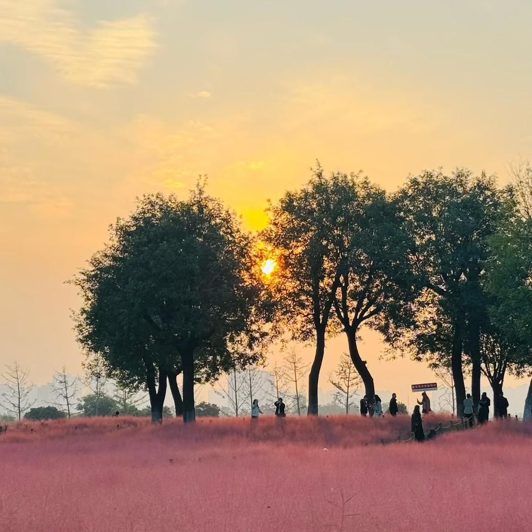 西安新联客置业有限公司