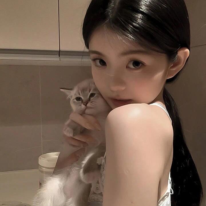 公主5语