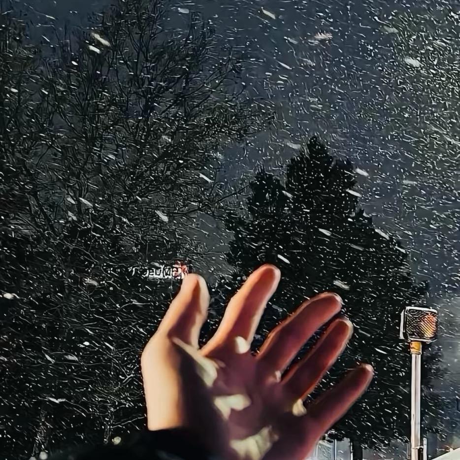 TiAmo🚦