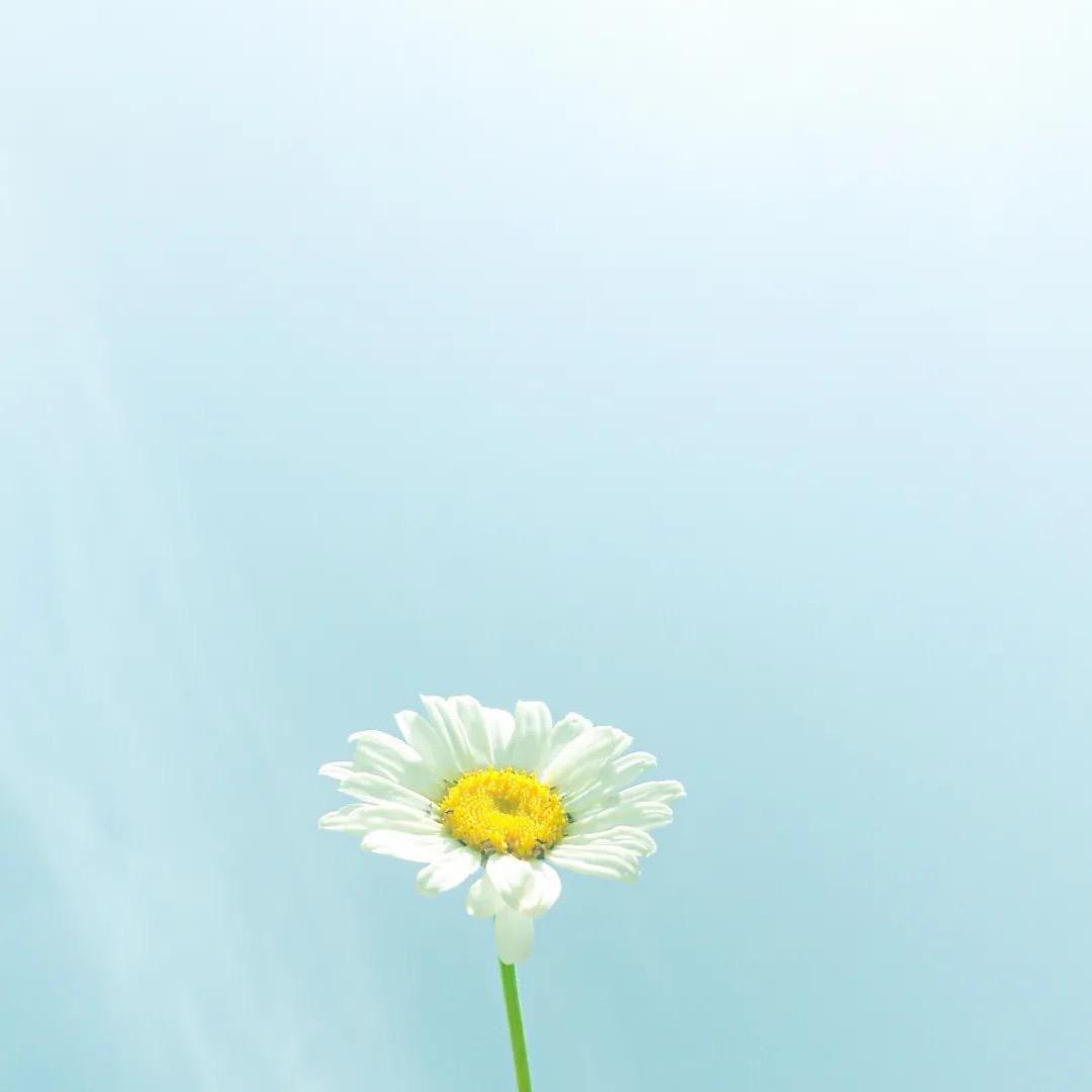 八百标兵奔北坡