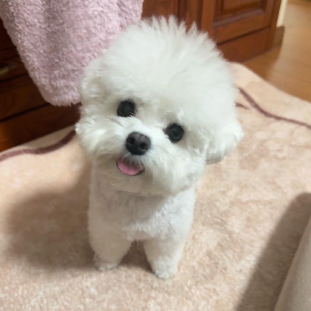 小葵来咯