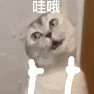 浩浩变帅版
