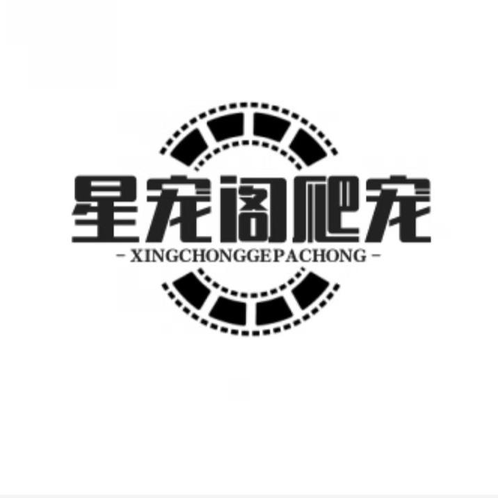 星宠阁爬宠