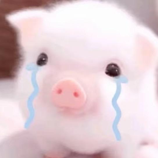 当过舔狗卖过萌