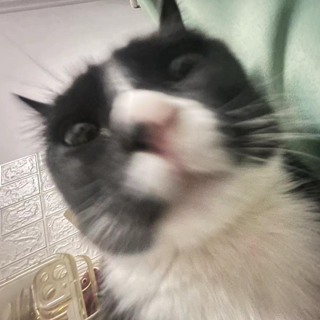 你赖东东不错嘛