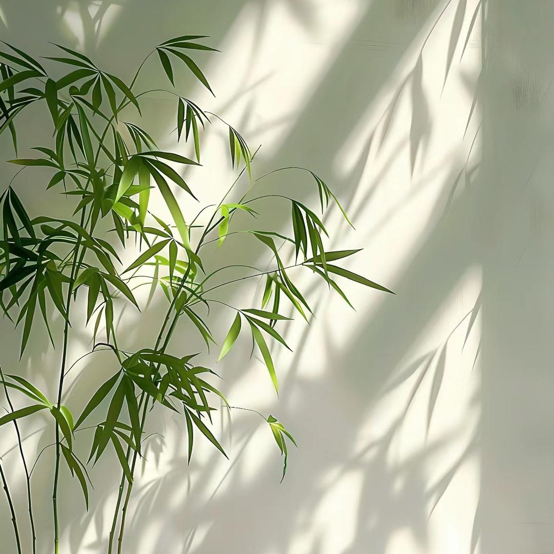 波澜.