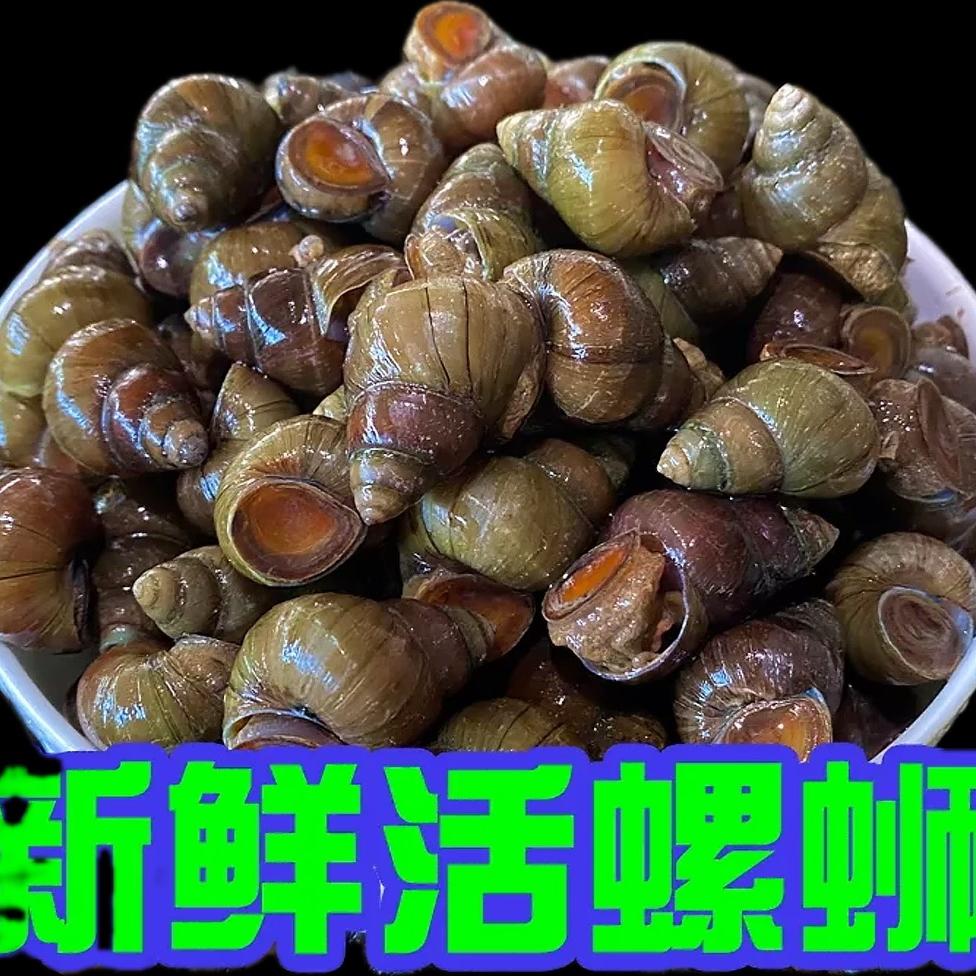 水产小聪子(建湖)