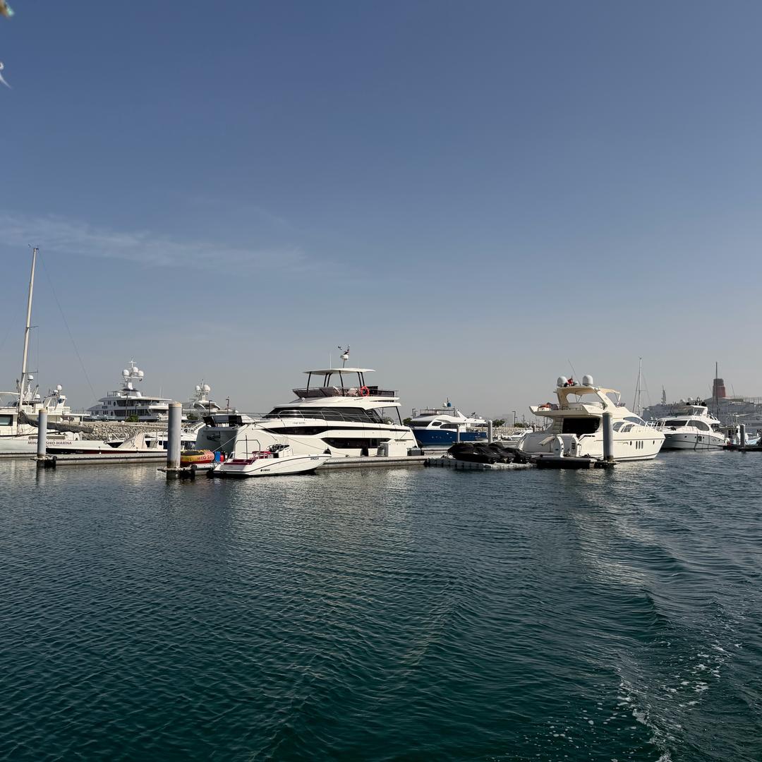 一只飞天小白鼠🐭