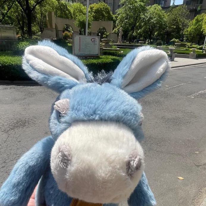 不如自挂东南枝