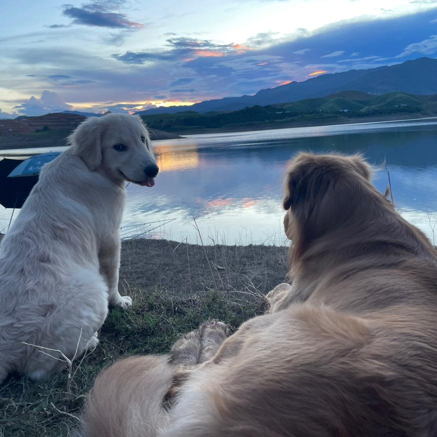 ㅤ🌈小可乐七喜