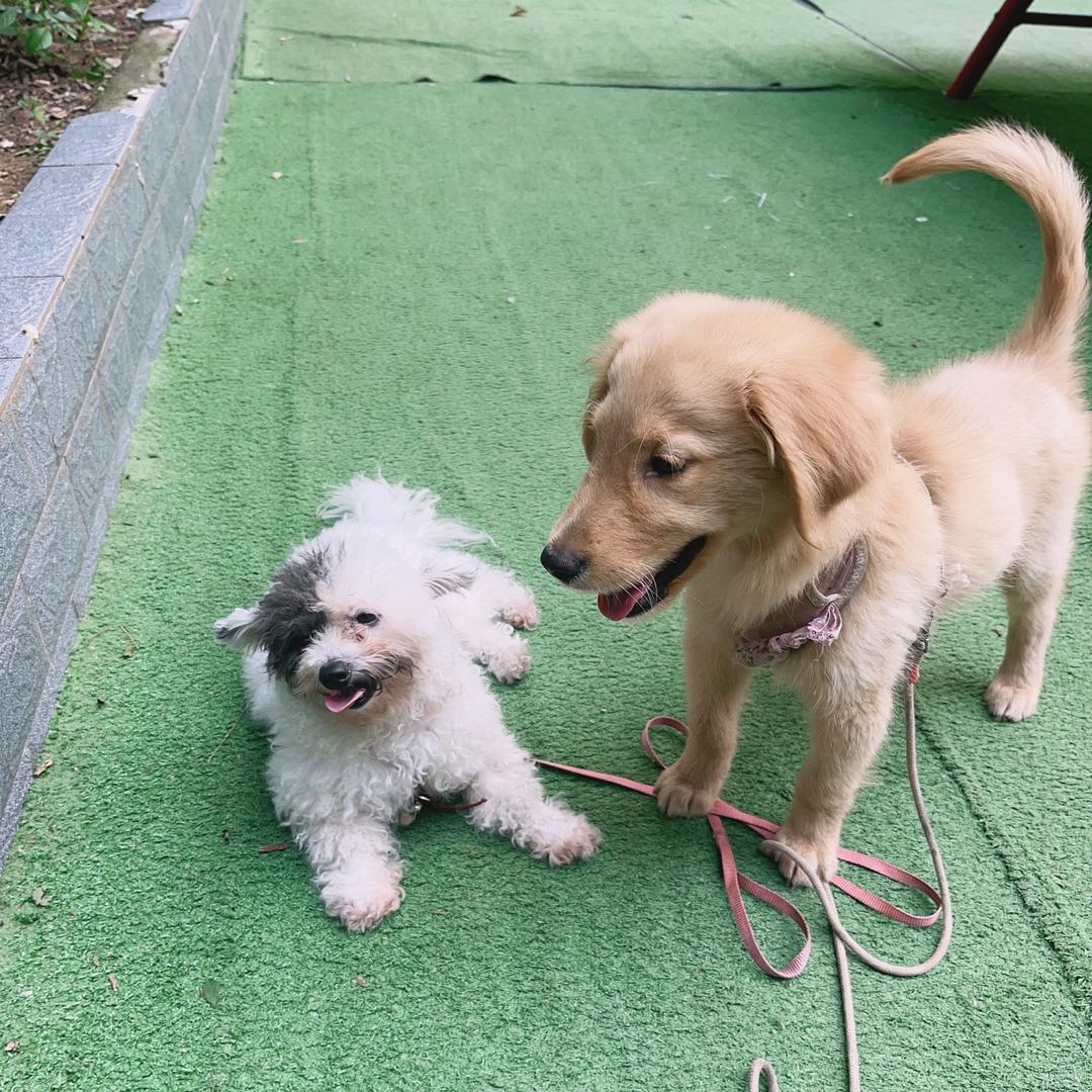 多小斑和汉堡🍔