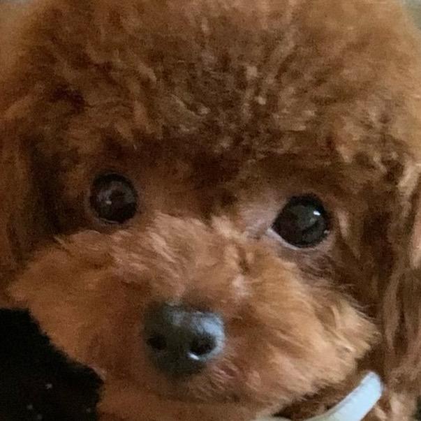 光眠庭