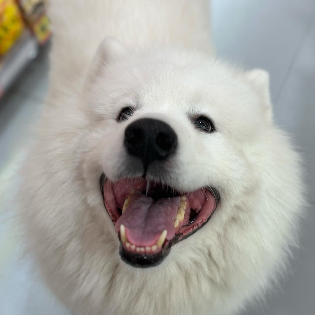 李．