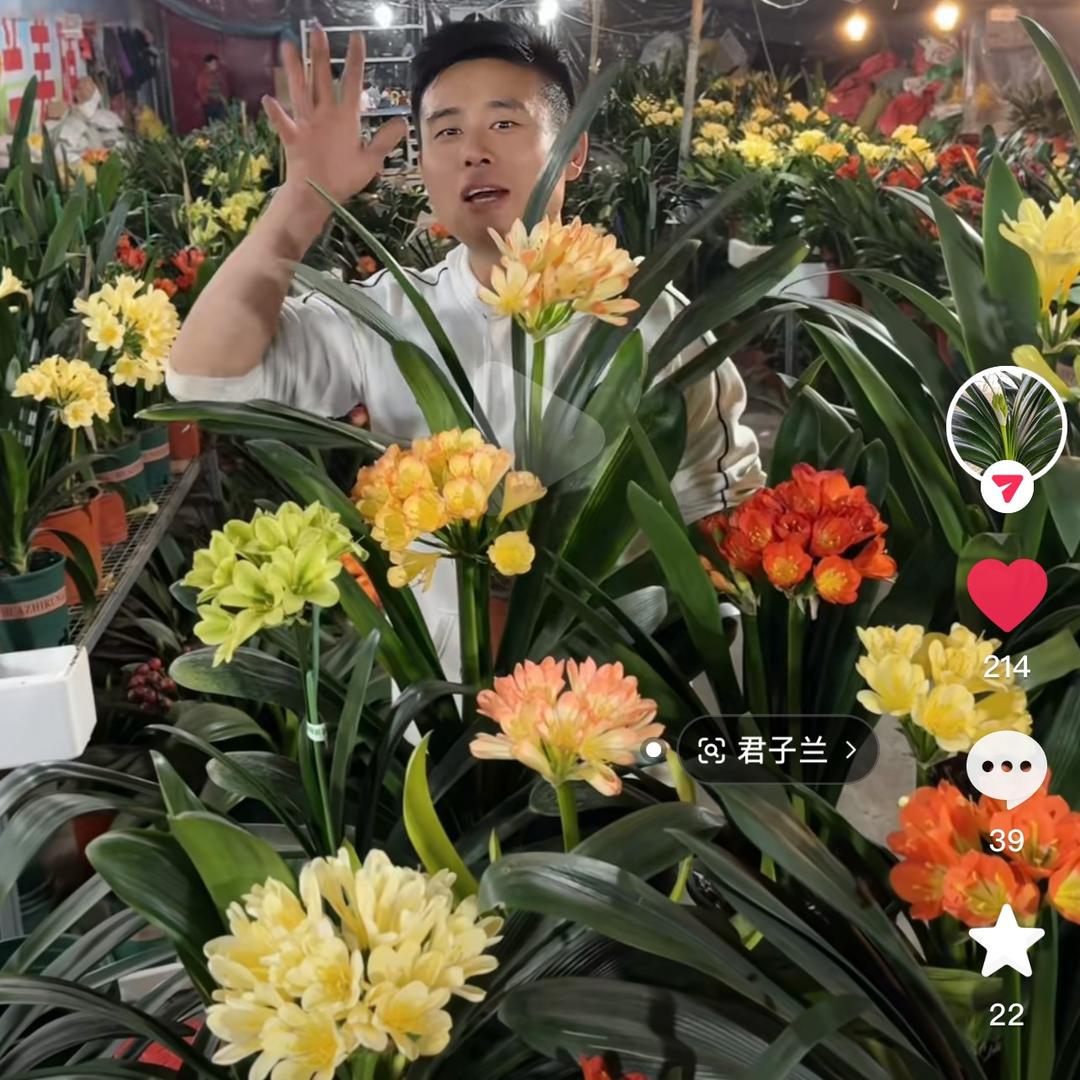 小房说花