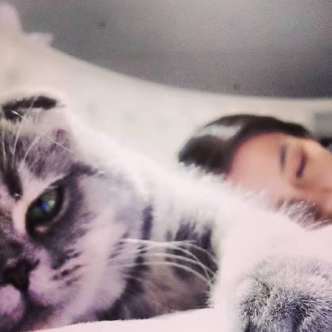 一天睡十五个小时