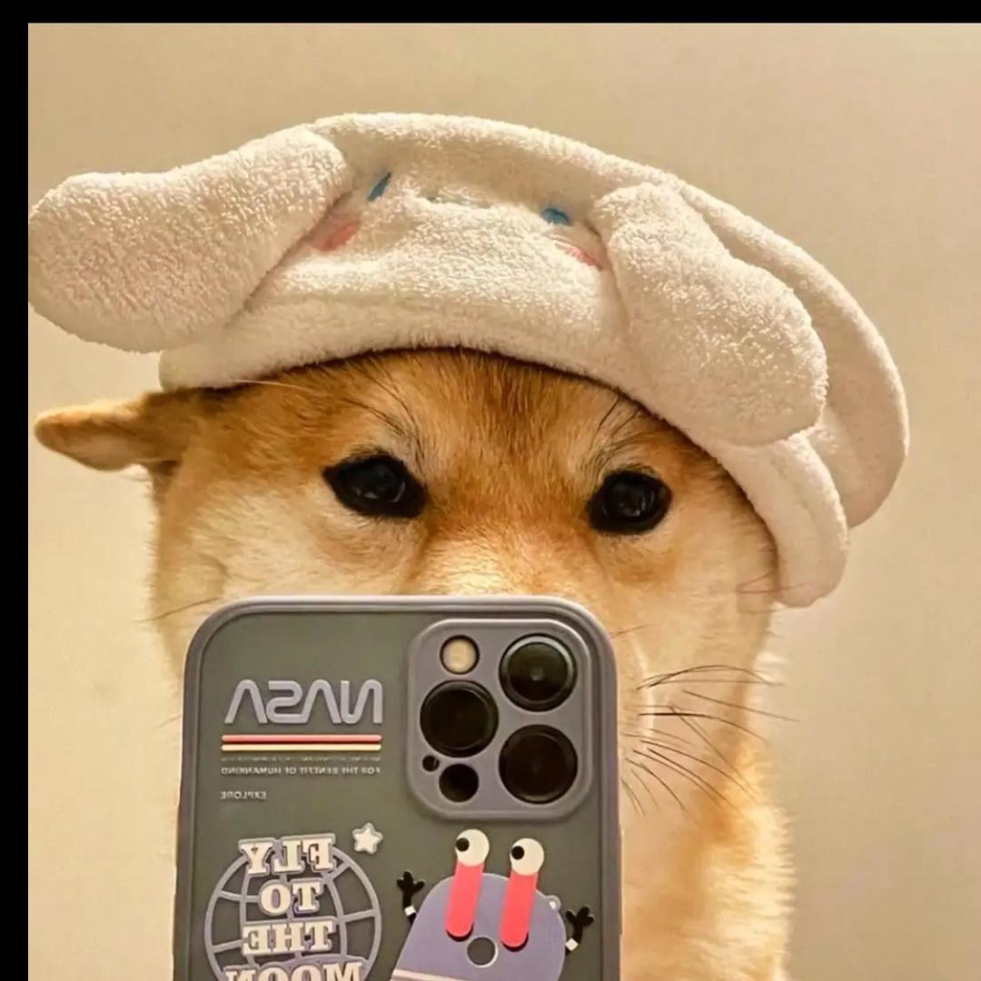 欧巴马