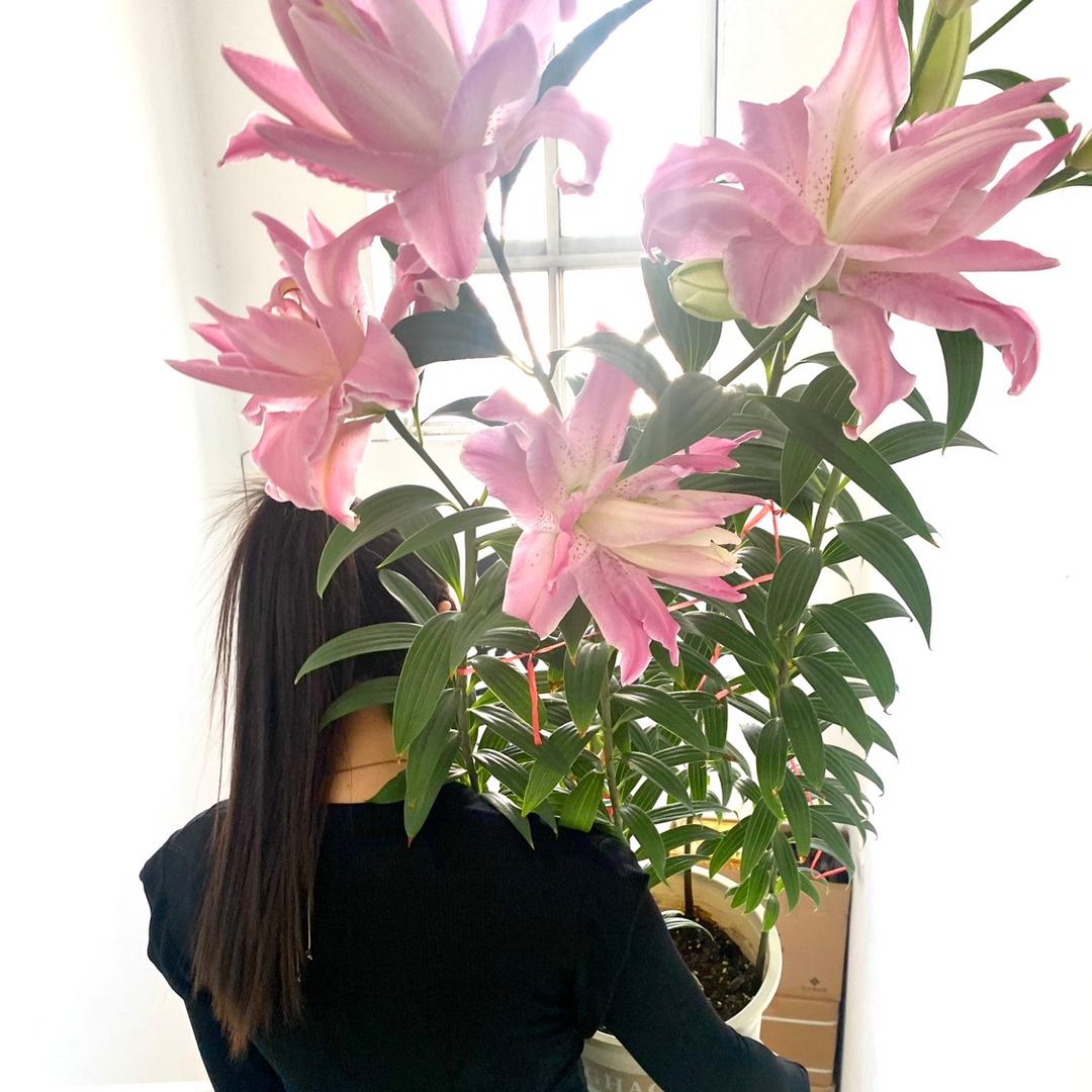 螺丝