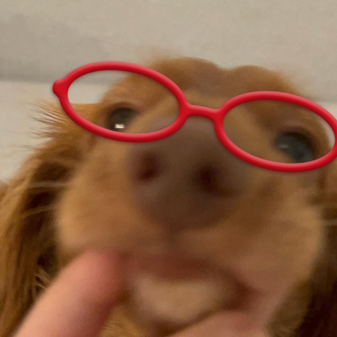 Ff_vv