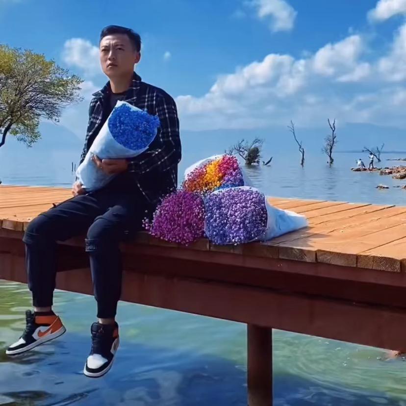小杨花卉商行