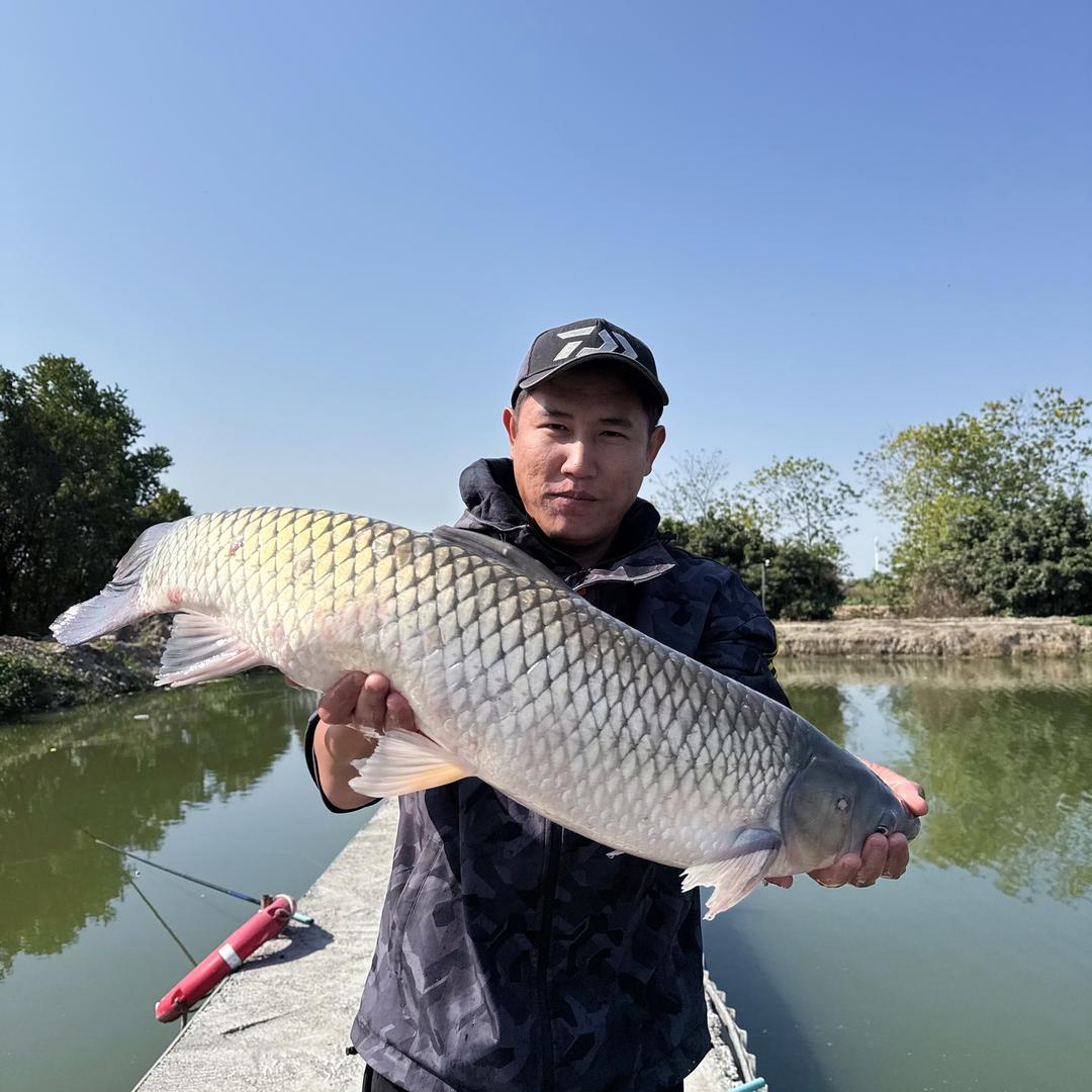 杨少钓鱼