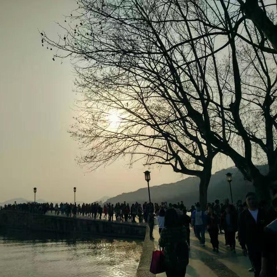 小虫虫