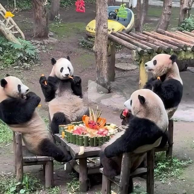 与你相冯张显幸福