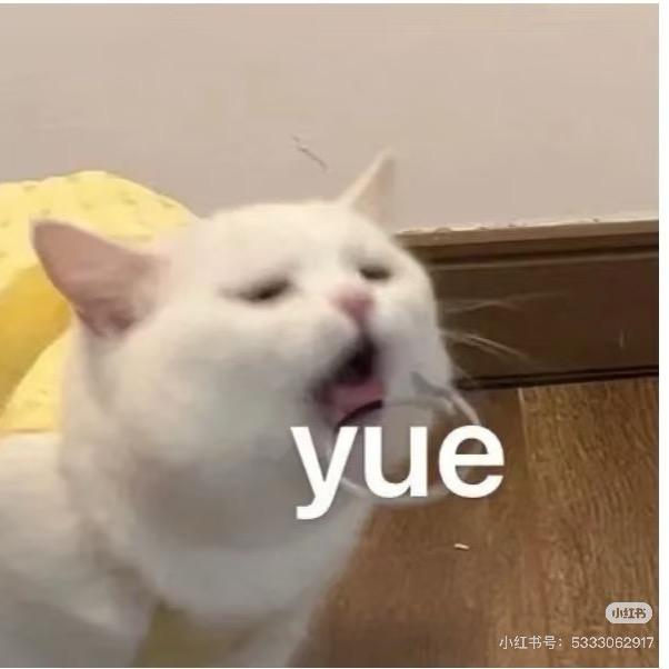 我太恶心讨厌你了，你别看我了
