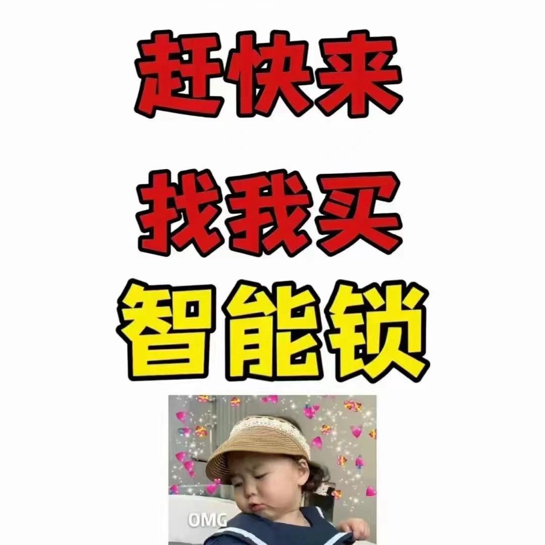 重生之我在张家港卖指纹锁