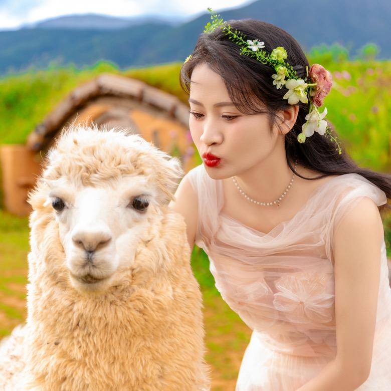 不予(˵¯͒〰¯͒˵)