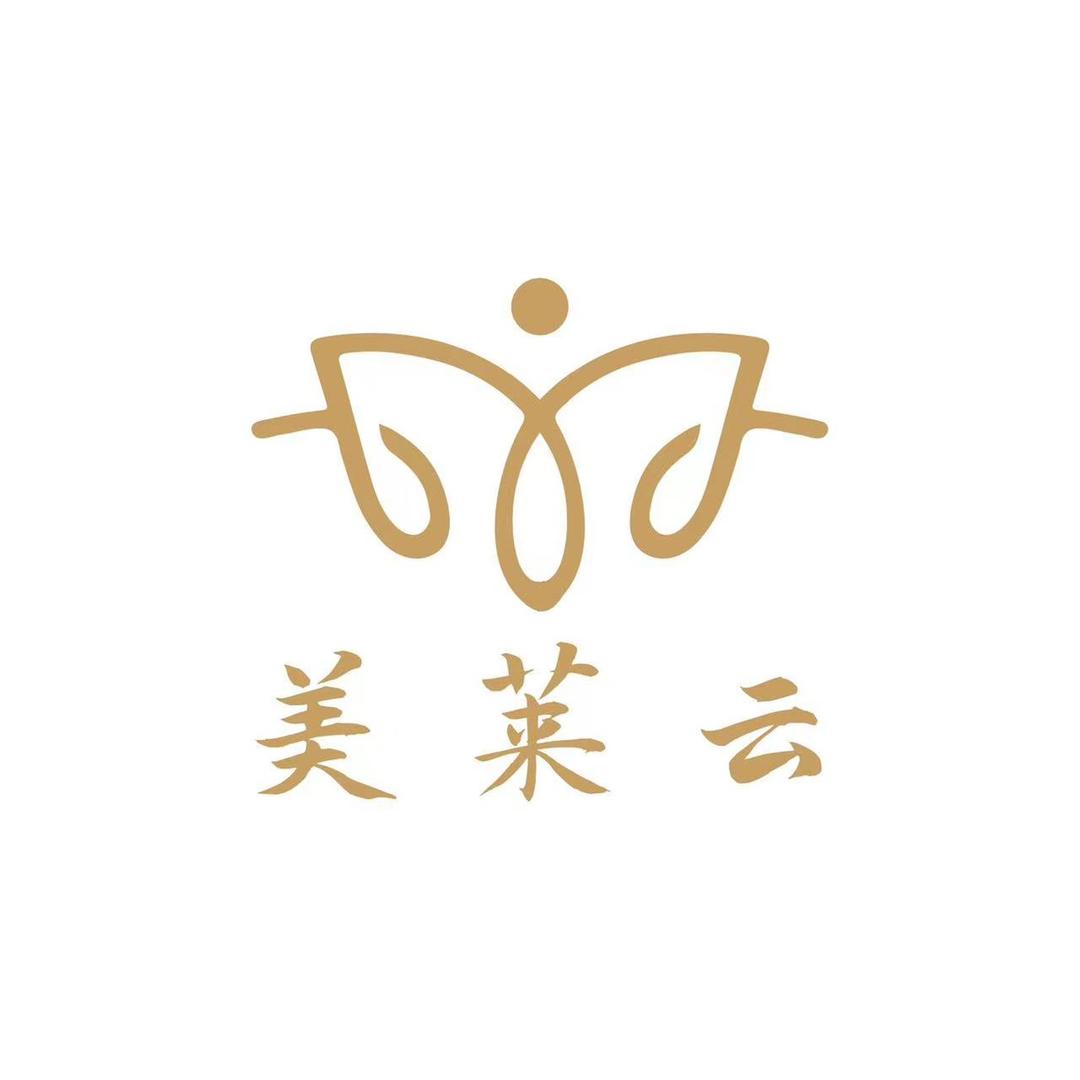 美莱云桑蚕丝被