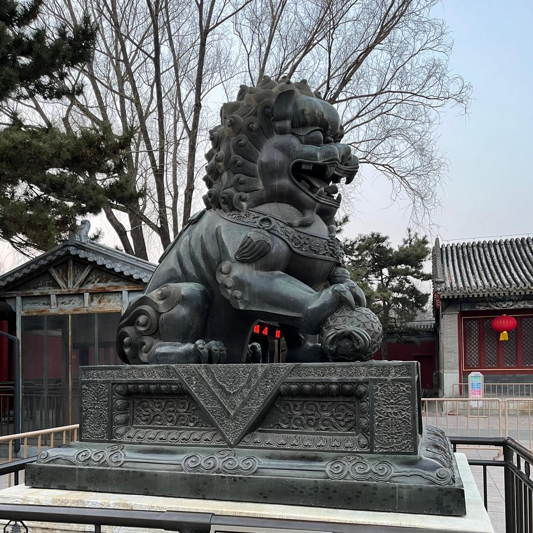 常多多
