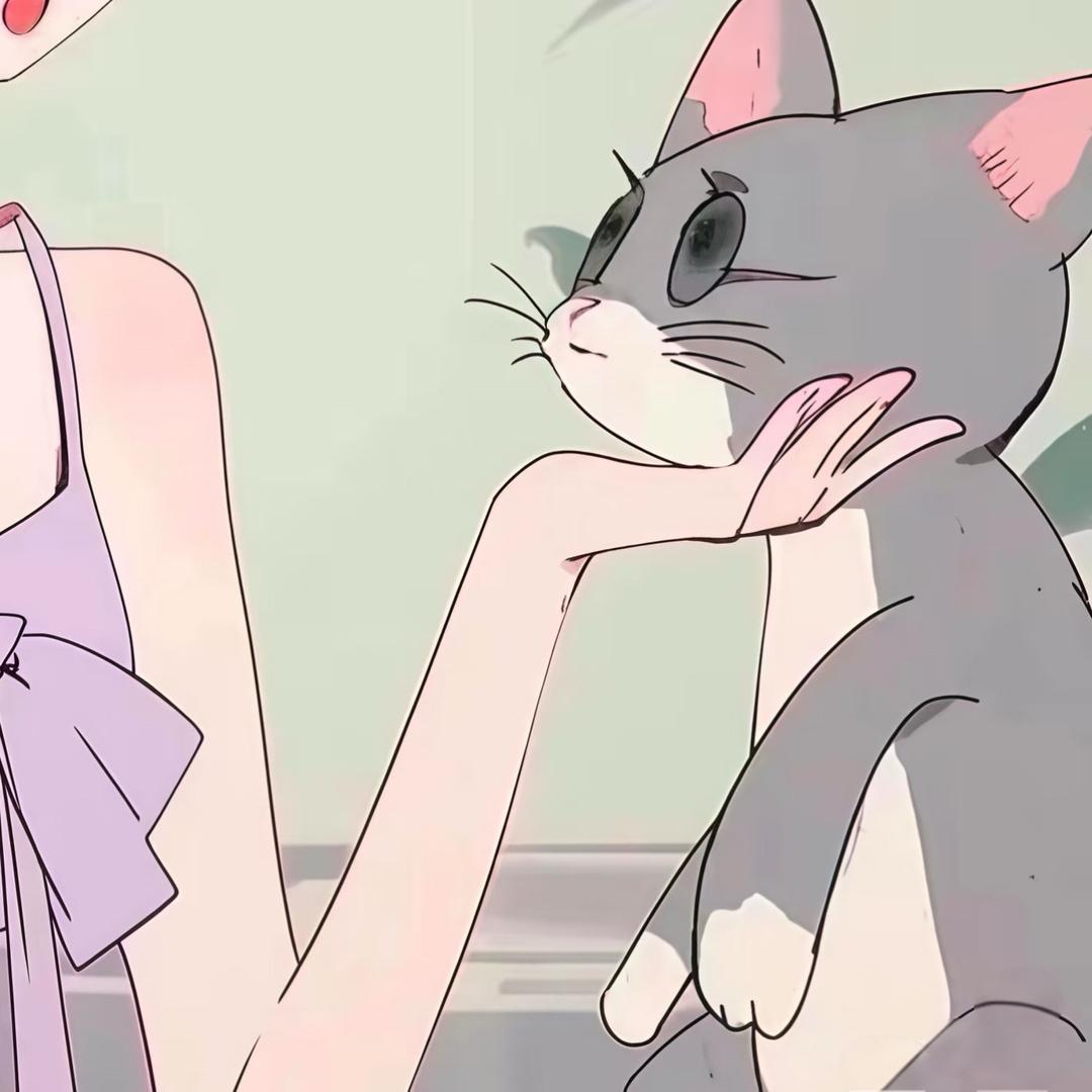碎珪