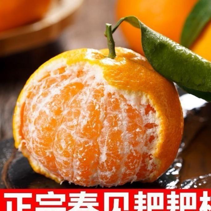 水果种植基地