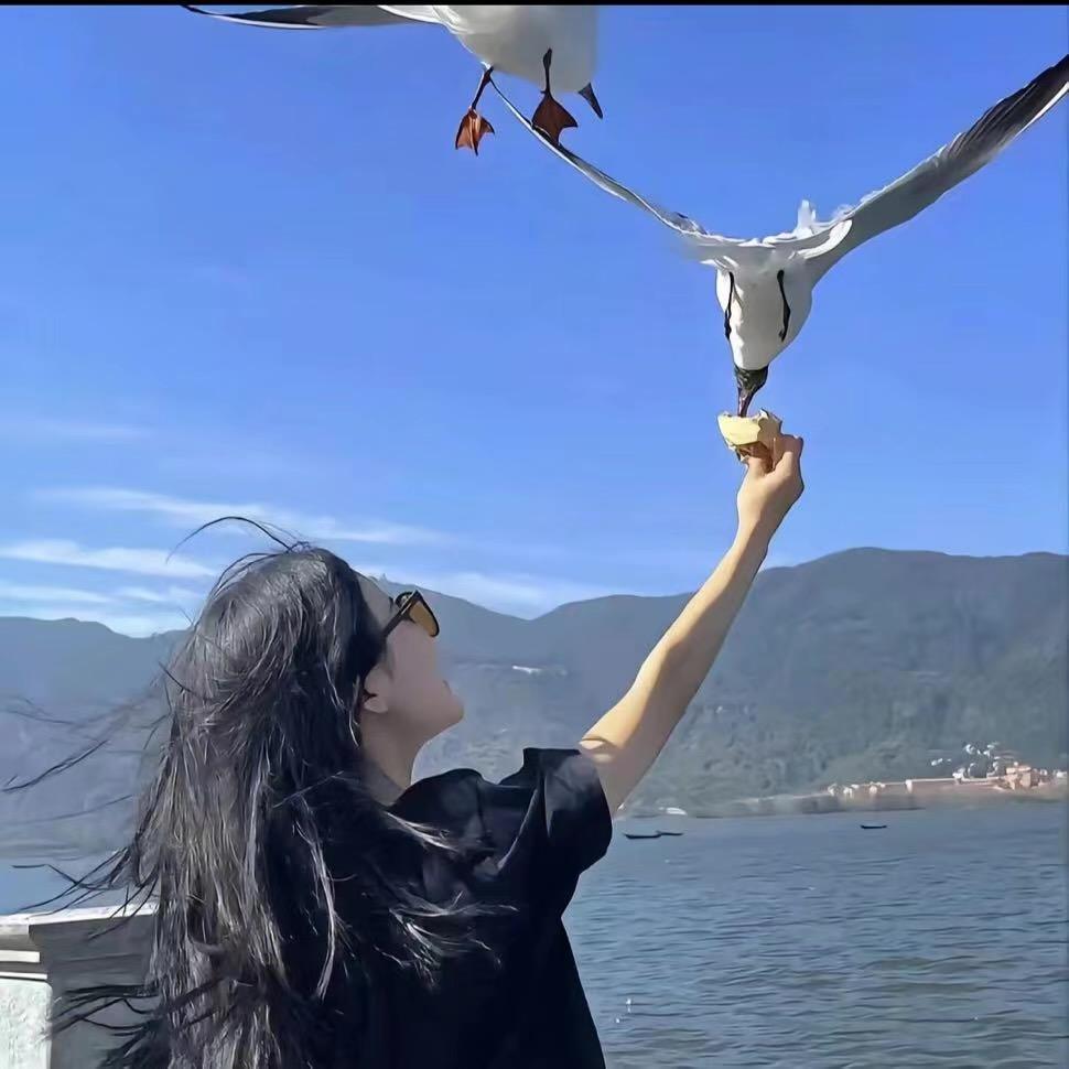 小戴严选女装