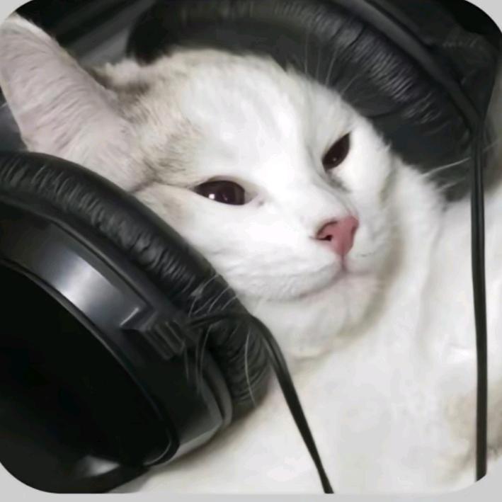 风华绝代的仔仔