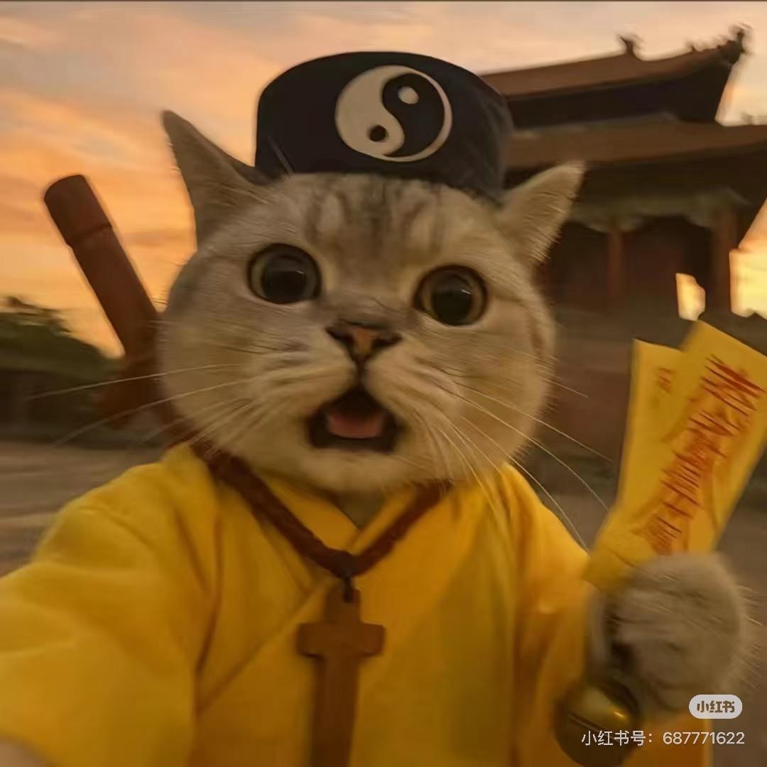 我是个道士