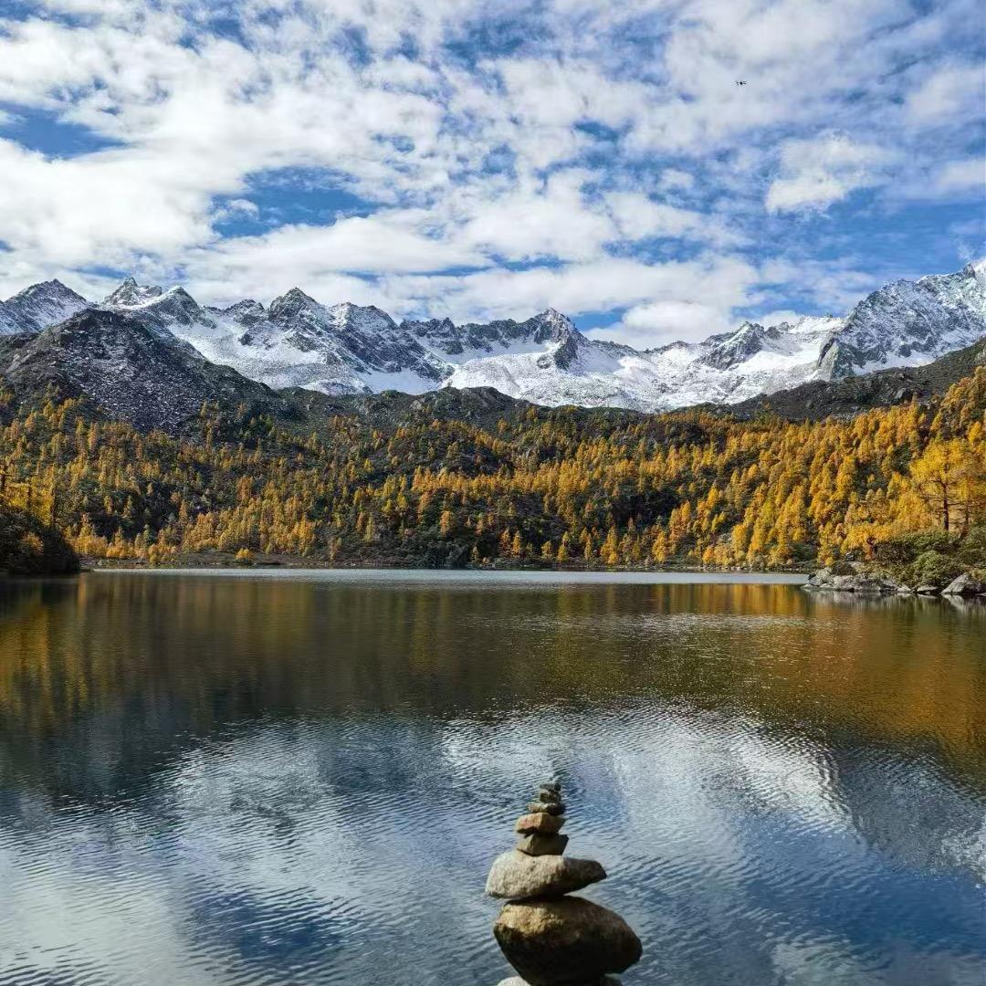 今天的风儿 甚为喧嚣啊