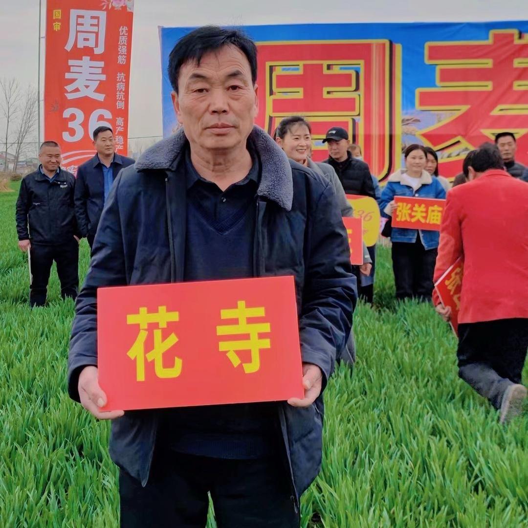 花寺张成农资