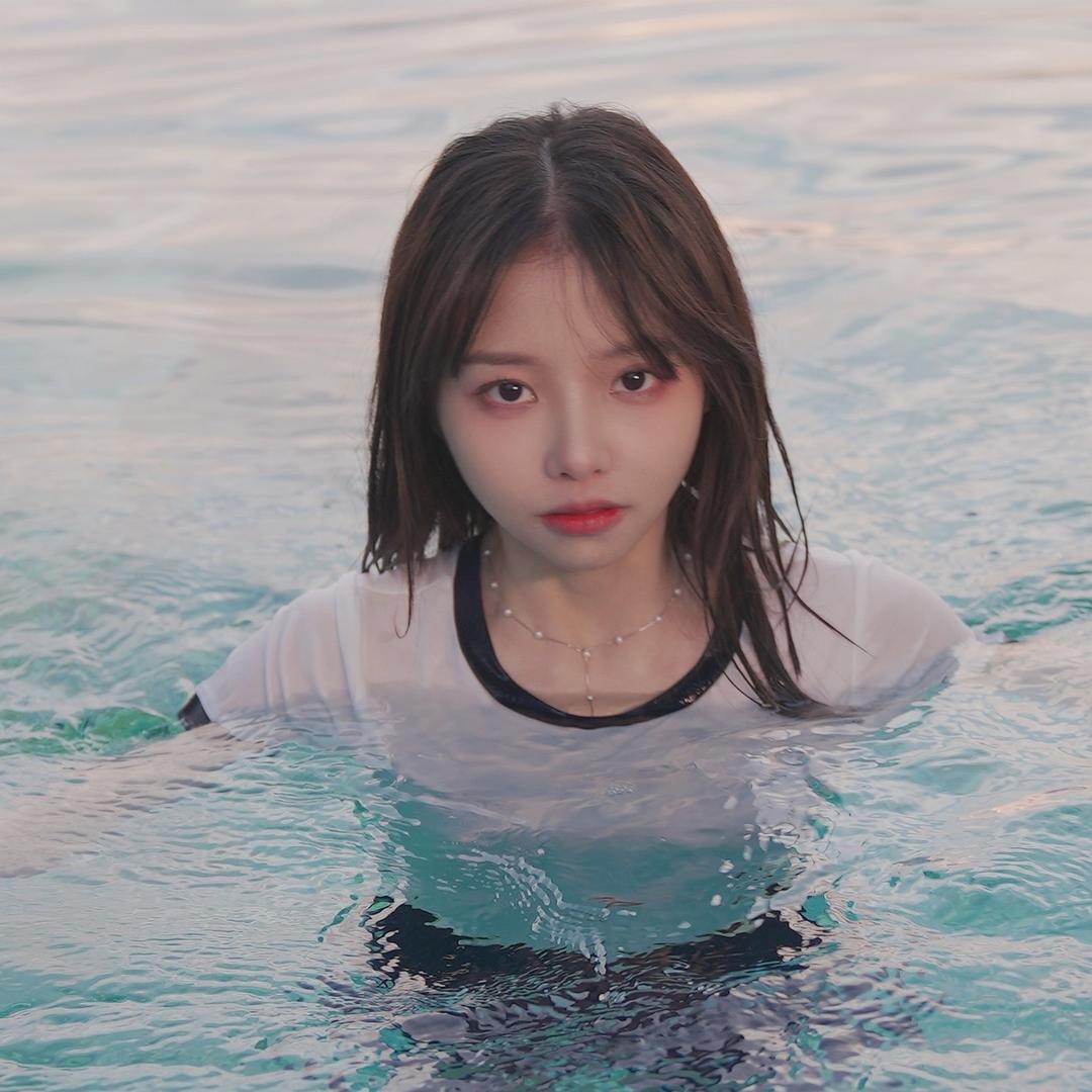 流氓兔🐰