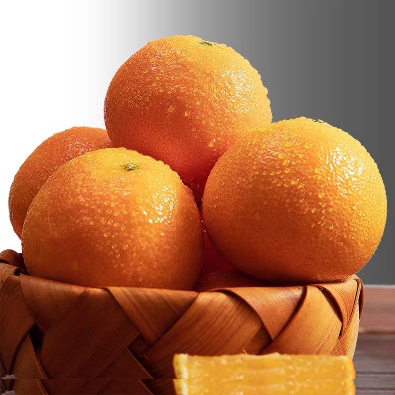 万象山海果品甄选