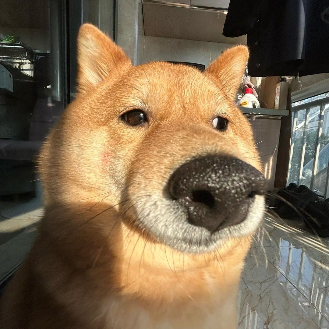 凉介向前冲