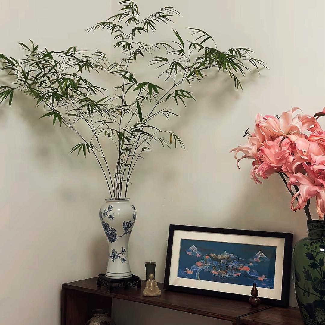 晚风…🌱