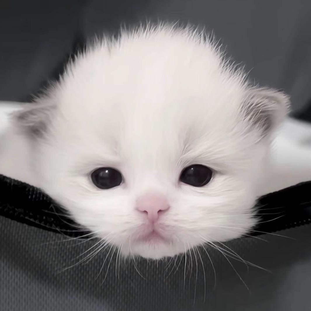 一二