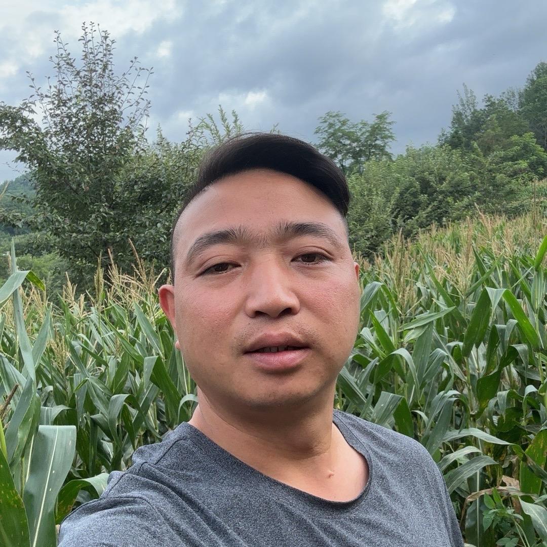 农村小高