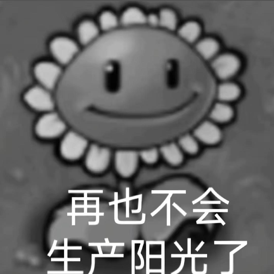 老天还有多少账需要我算清