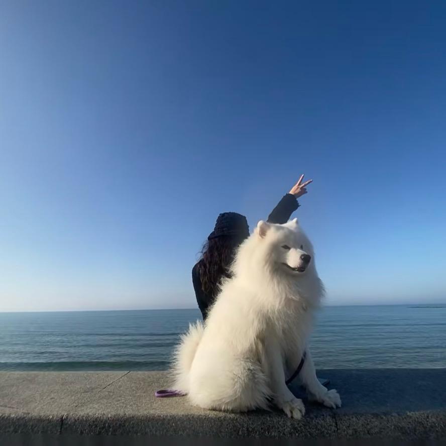 徐大小姐